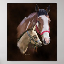 Tobiano Paint Mare e Foal