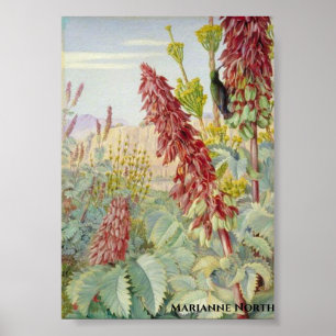 Poster Toca-me a não ser flores e aves de açúcar, Tulb