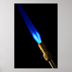 Poster Tocha