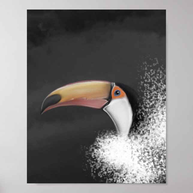 Poster toco toco toucan (desenhar de mão original) (Frente)