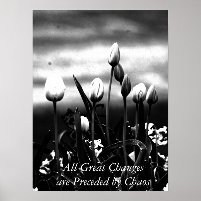 Póster Todas as mudanças de Excelente (Frente)