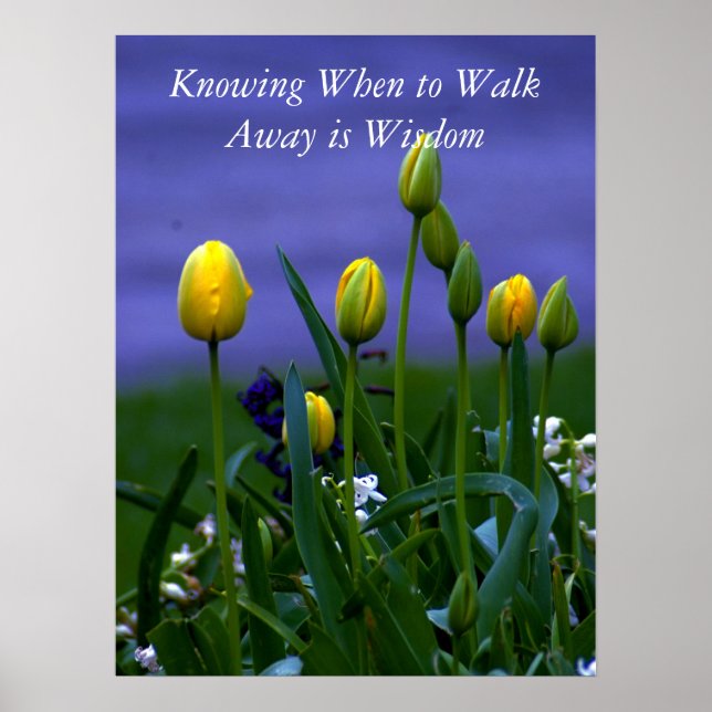 Póster Todas as mudanças de Excelente I (Frente)