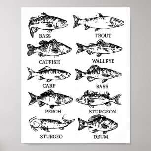 Poster Todler Água fresca Peixe Engraçado Pescadores Home