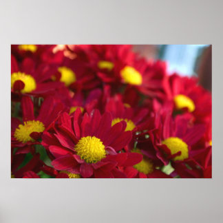 Póster Todo mundo tem uma Mãe