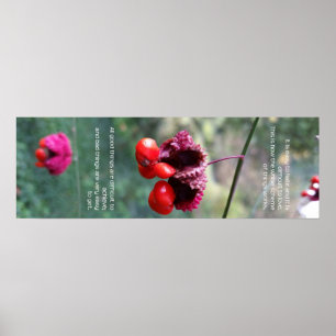 Poster Todo o conjunto de coisas