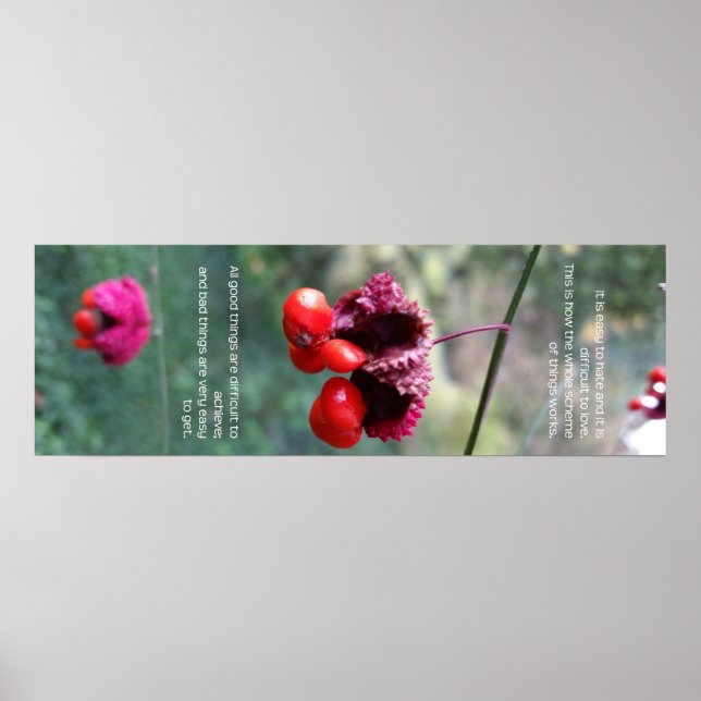 Poster Todo o conjunto de coisas (Frente)