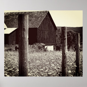 Poster Todos os Queens Barn