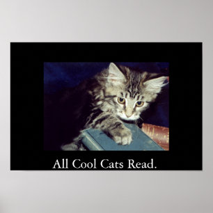 Póster Todos refrigeram os gatos lidos