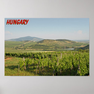 Poster Tokaj vineyards, Hungria