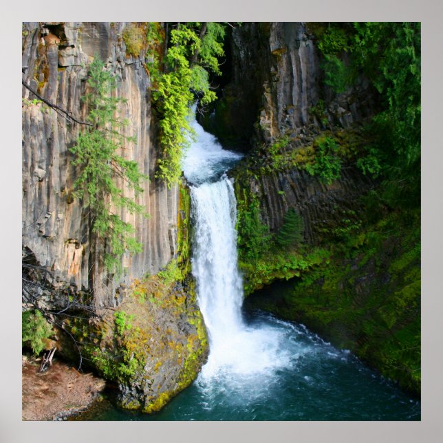 Poster Toketee Falls (Frente)