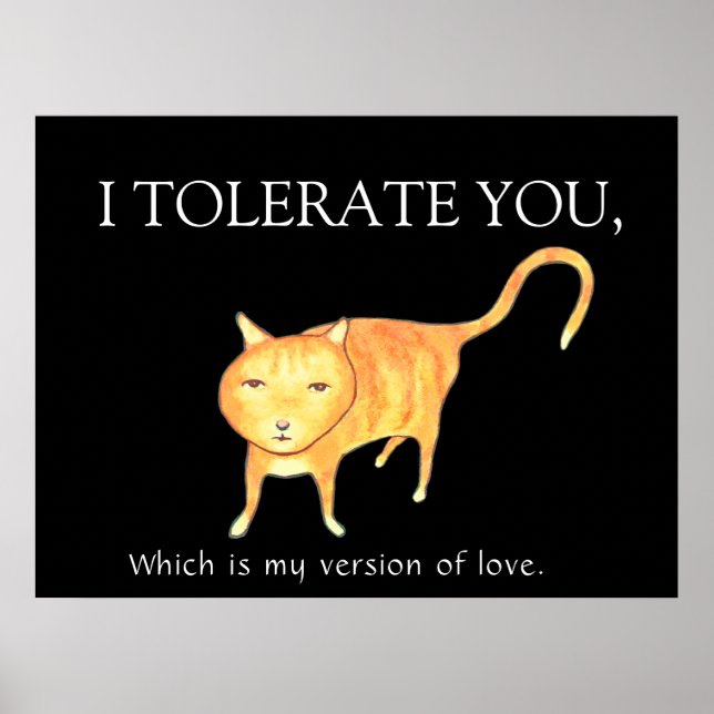 Poster Tolerant Apathetic Orange Cat (Frente)