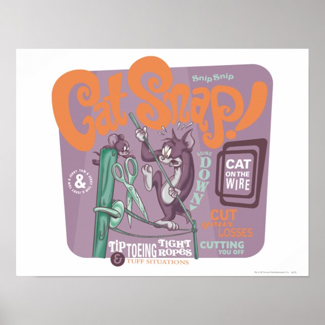Poster Tom e Jerry Cat Snap (Frente)