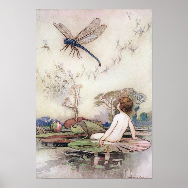 Póster Tom encontra a Dragonfly de Warwick Goble (Frente)