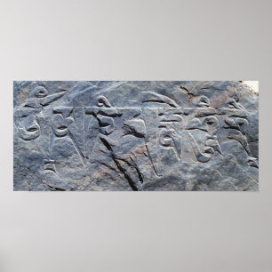 Poster Tom mani padme hum shi feche