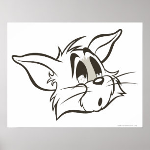 Póster Tom Sleepy Cat