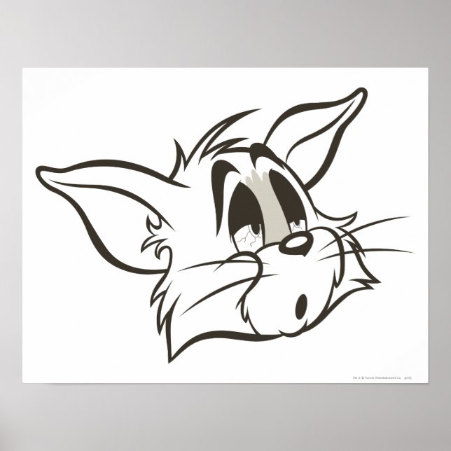 Póster Tom Sleepy Cat (Frente)