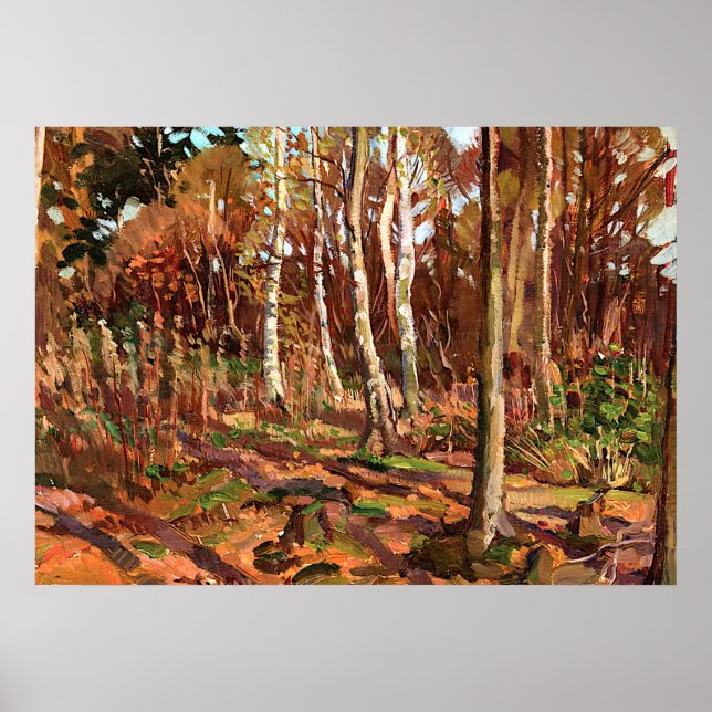 Póster Tom Thomson - Vista do Parque Algonquin (Frente)