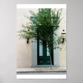 Póster tomada a cargo pela natureza