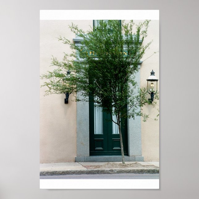 Póster tomada a cargo pela natureza (Frente)