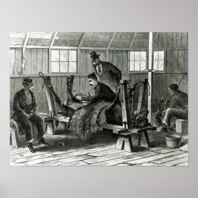 Póster Tomar vírus do vitelo (Frente)