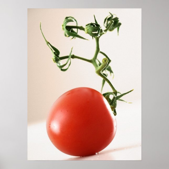 Póster Tomate (Frente)