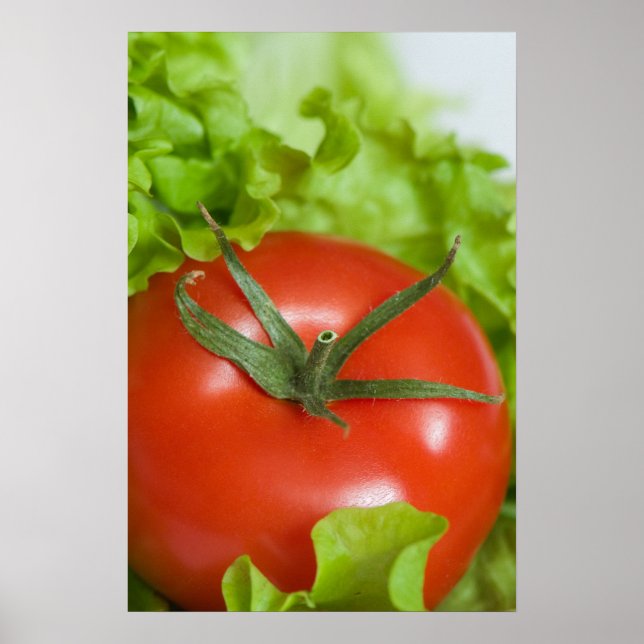 Póster Tomate (Frente)