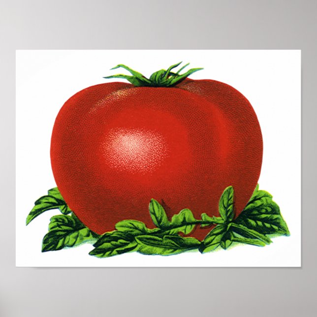 Poster Tomate de madre, vegetais e Frutas (Frente)