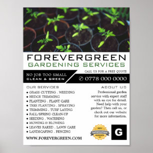 Poster Tomateiros, Serviço de Jardinagem, Horticultura