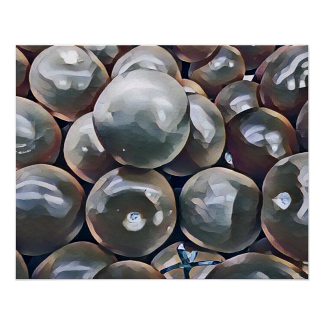 PÓSTER TOMATES (Frente)