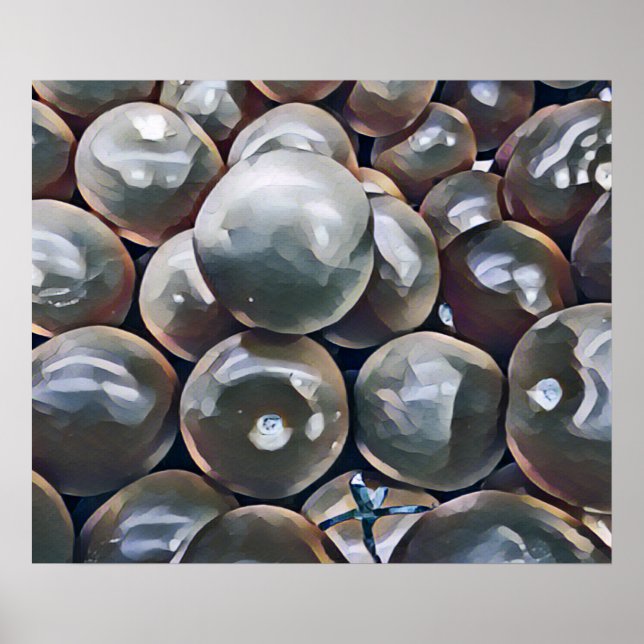 POSTER TOMATES (Frente)