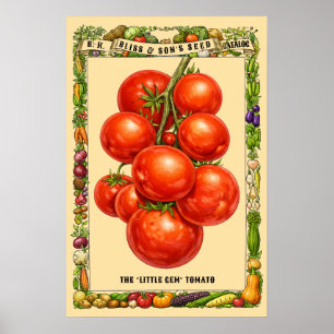 Poster Tomates Arte Botânica da Era Vitoriana Retrô