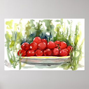 Poster Tomates Cereja Jardim Vegetal Aquarela