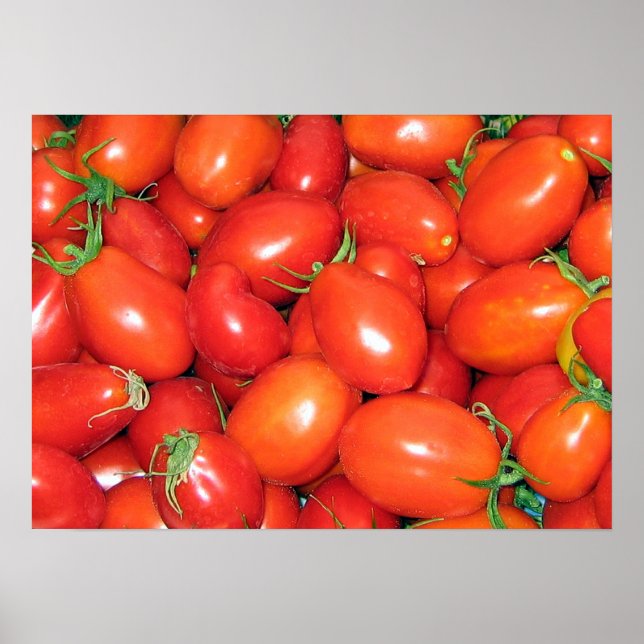 Póster Tomates de ameixa (Frente)