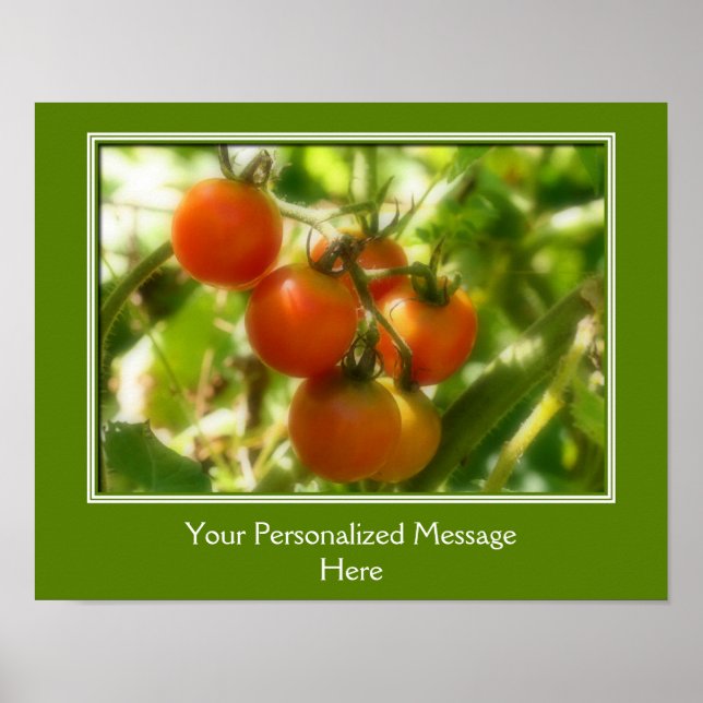 Póster Tomates De Cereja Na Vinha Personalizados (Frente)