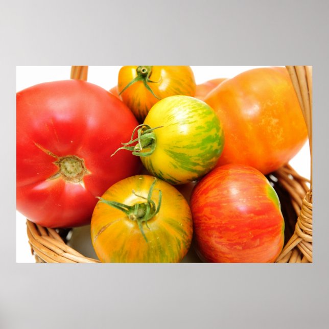 Póster Tomates de herança coloridos (Frente)