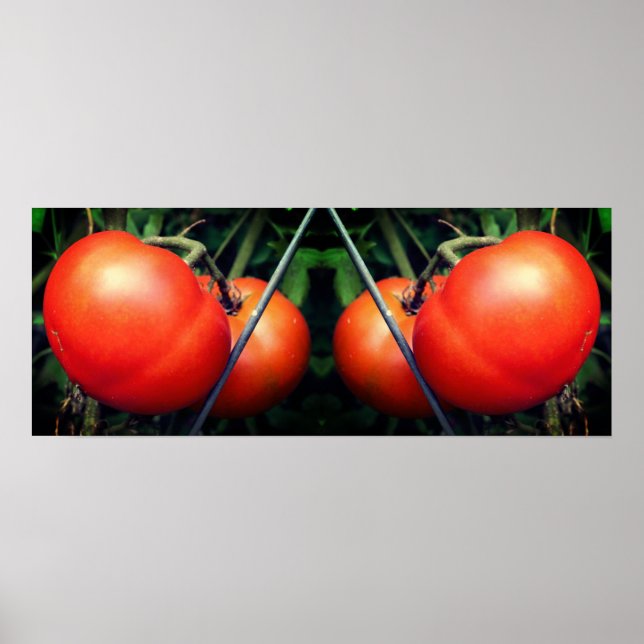 Poster Tomates De Jardim Vermelho Na Abstrato De Espelho  (Frente)