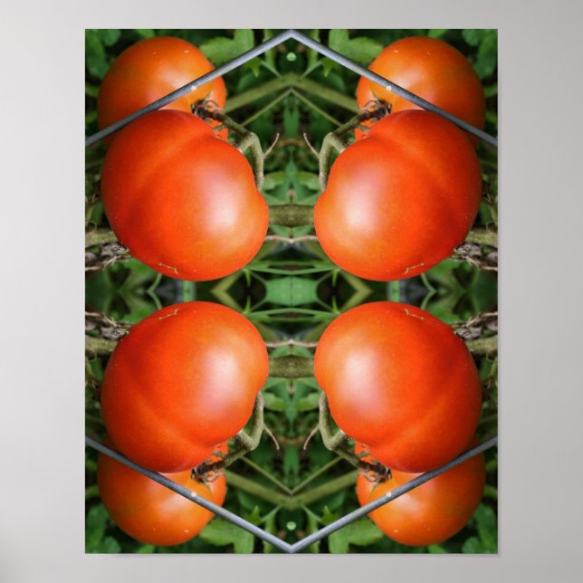 Poster Tomates De Jardim Vermelho Na Abstrato De Vinha (Frente)