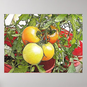 Póster Tomates frescos da herança do jardim