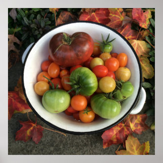 Póster Tomates Heirloe