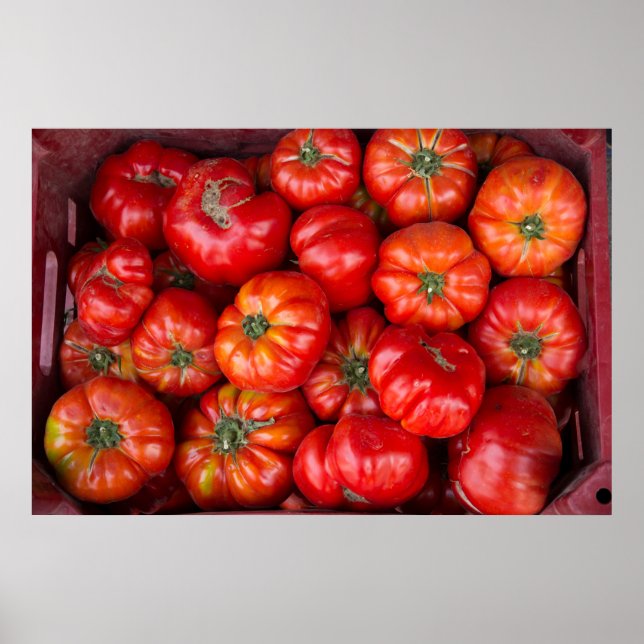 Póster Tomates No Mercado (Frente)