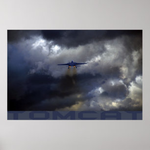 Poster Tomcat