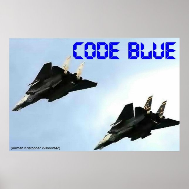 Póster Tomcats (Frente)