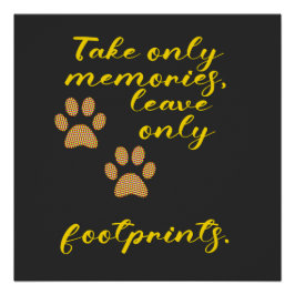 Póster Tome apenas memórias, deixe apenas pegadas.