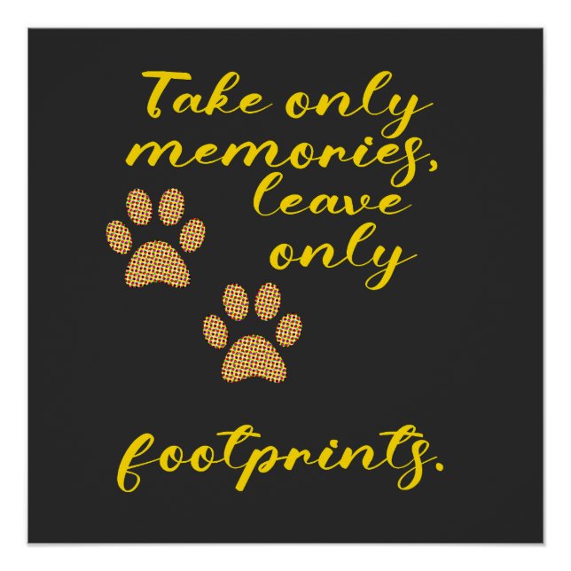 Póster Tome apenas memórias, deixe apenas pegadas. (Frente)
