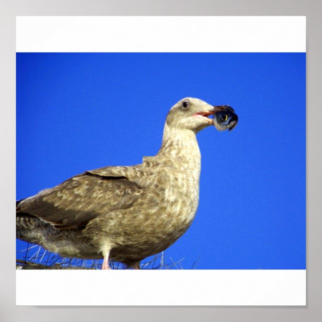 Póster Tome um pouco (Frente)