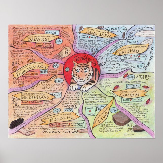 Póster Tonify Sangue (Frente)