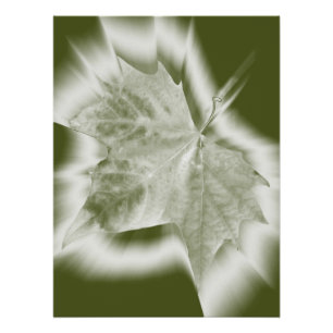 Póster tons de verde