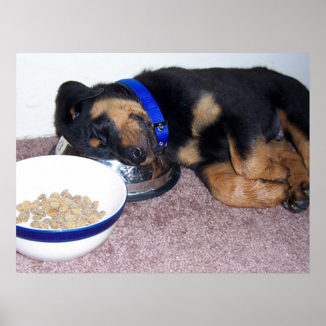 Poster tonto. (Frente)