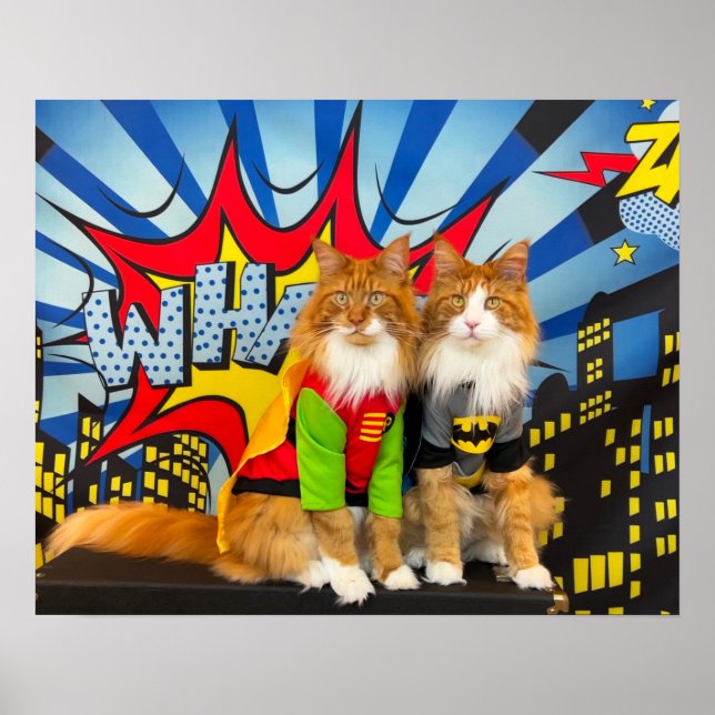 Poster Tony e Ursinho, o Dynamic Maine Coon Duo (Frente)