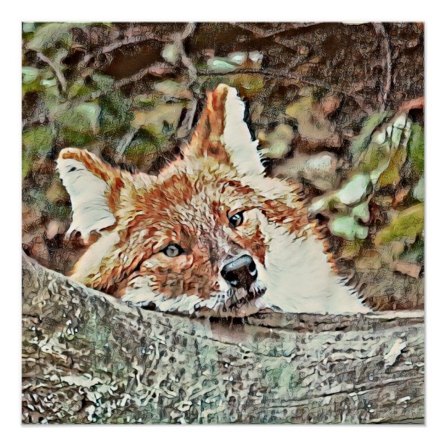 Póster Toony Fox (Frente)